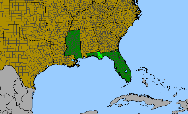 The range of Sorghastrum apalachicolense